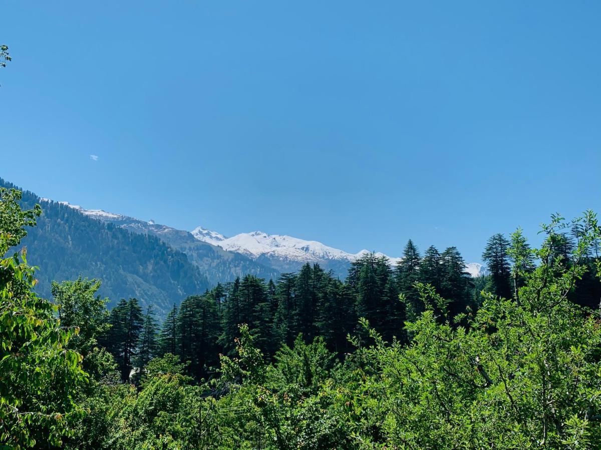 Hostel Jungle By Sturmfrei Manali Zewnętrze zdjęcie