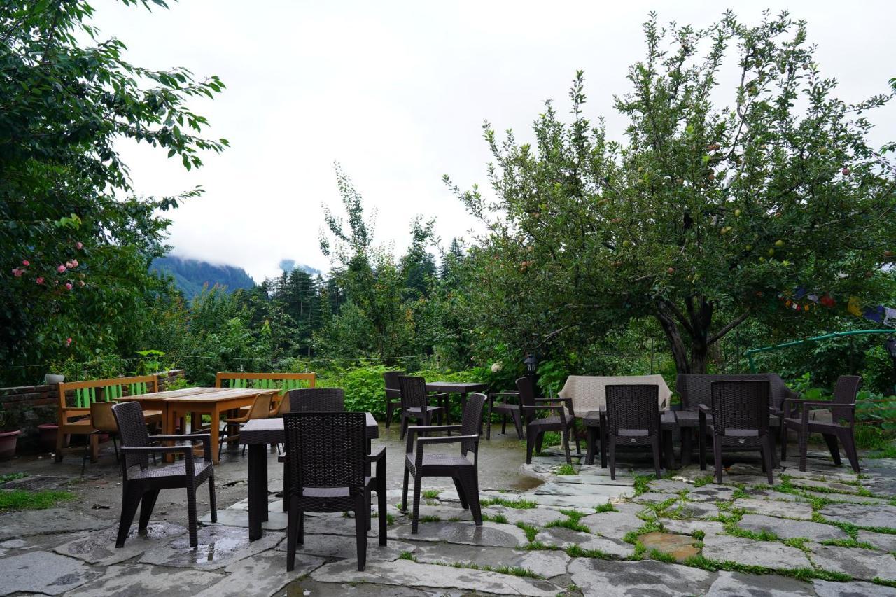 Hostel Jungle By Sturmfrei Manali Zewnętrze zdjęcie